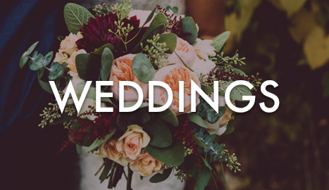 Launch: Blue Daisy Floral Designs