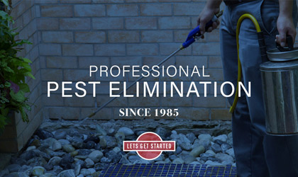 Launch: Lane’s Professional Pest Elimination
