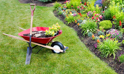 Launch: Evergreen Landscaping