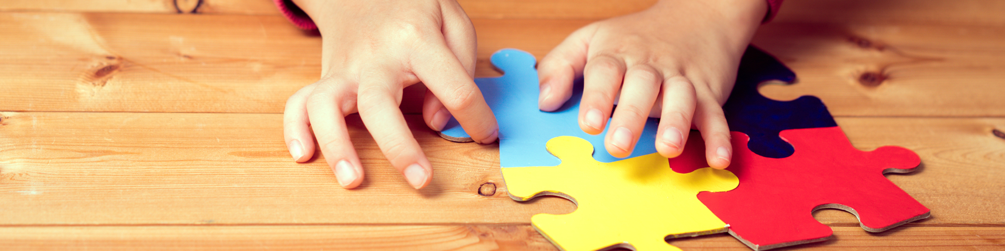 Launch: Champion Autism Network