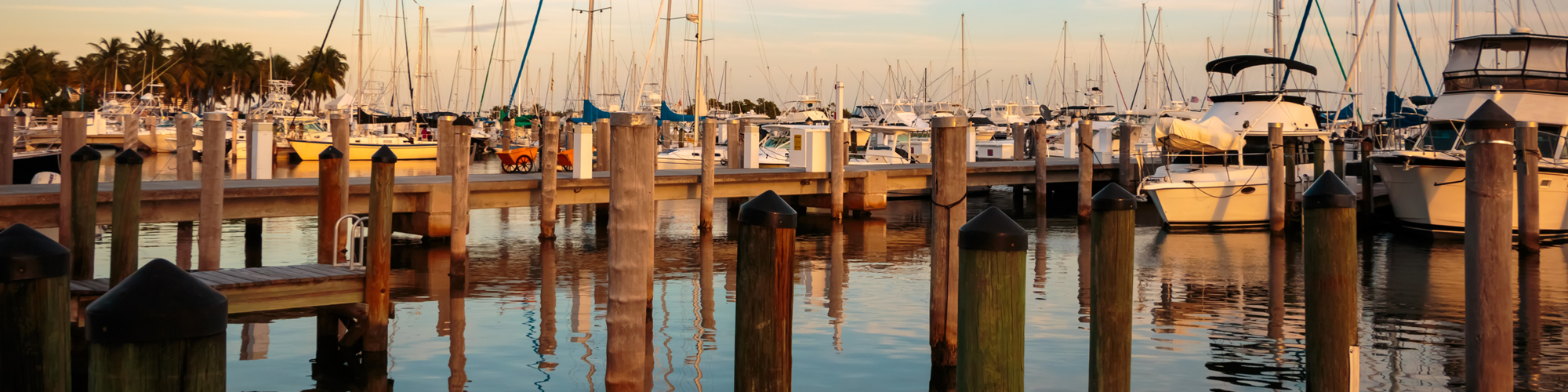 Launch: Marlin Quay Marina