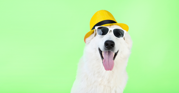 Using National Days In Your Social Media Marketing