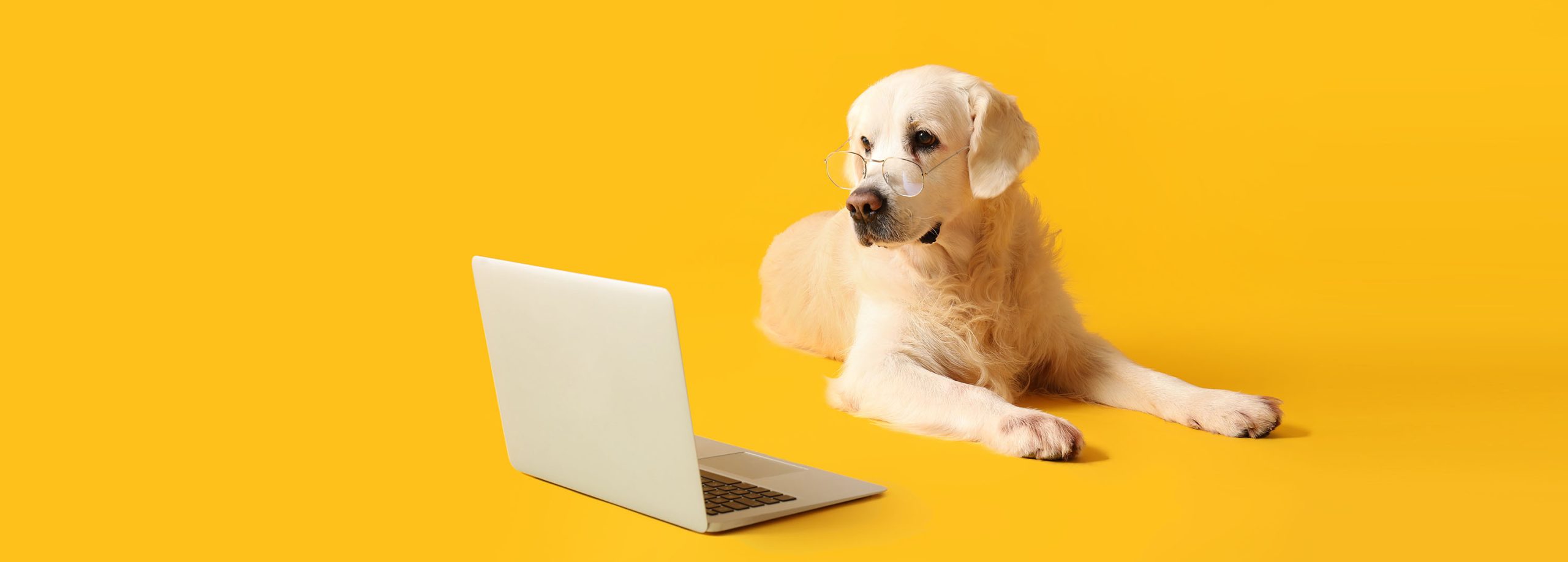 How Social Media Complements Your Website Strategy
