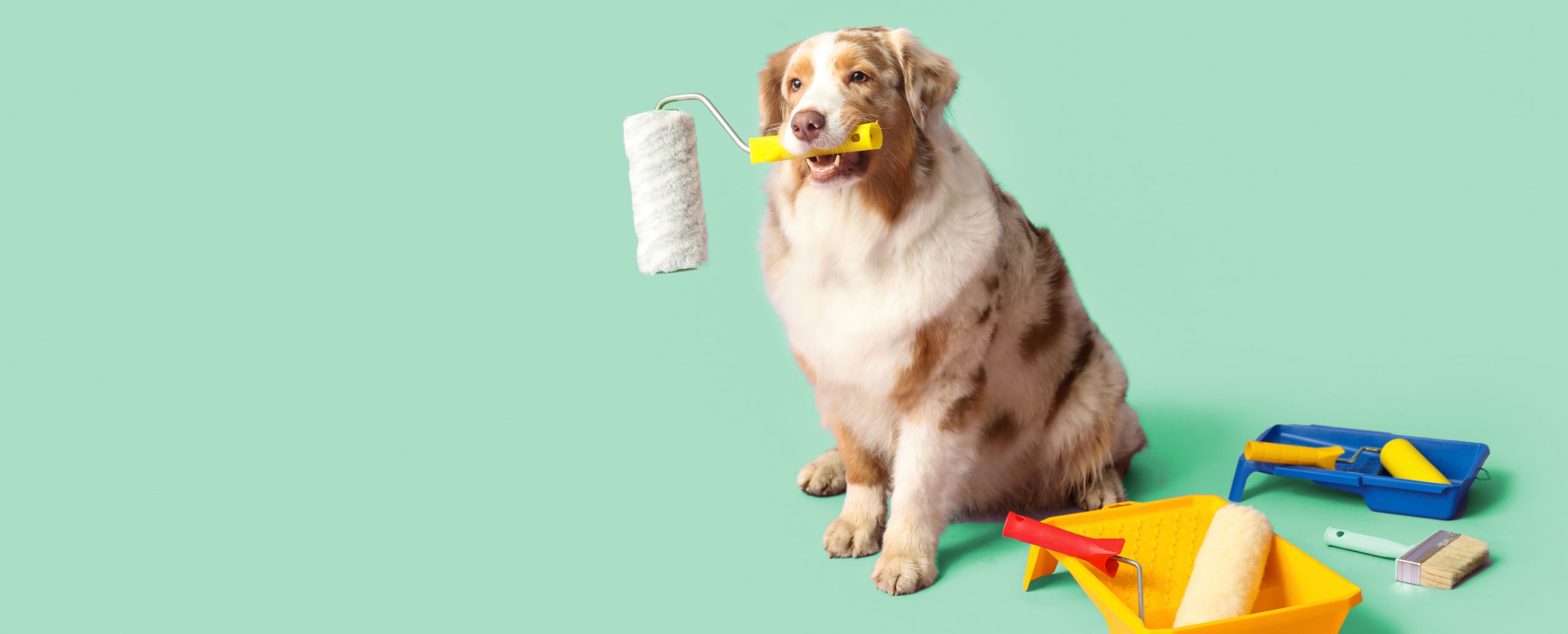 How Often Should You Redesign Your Website?
