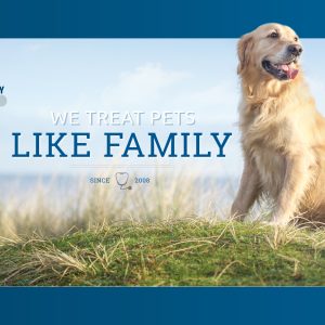 Veterinary Clinic of Myrtle Beach