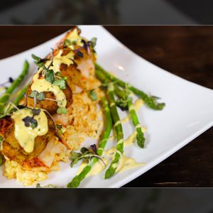 Thoroughbreds-Photography-C